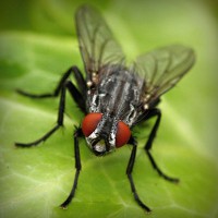 /album/tiosandziweate/photolia-a01-jpg/