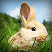 /album/tiosandziweate/photolia-a03-jpg/