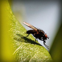 /album/tiosandziweate/photolia-a04-jpg/