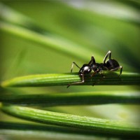 /album/tiosandziweate/photolia-a05-jpg/