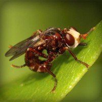 /album/tiosandziweate/photolia-a06-jpg/