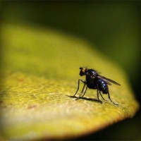 /album/tiosandziweate/photolia-a07-jpg/