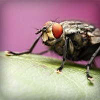 /album/tiosandziweate/photolia-a08-jpg/